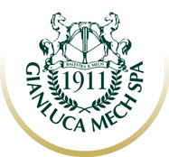 Gianluca Mech